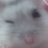 オリジナル楽曲 - ぜの