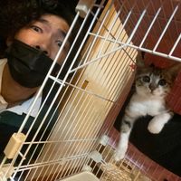 オリジナル楽曲 - #猫アレルギーと保護ネコ