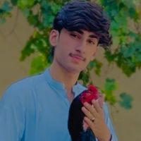 shahramkhan41