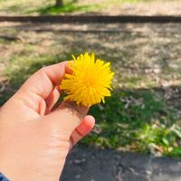 marielita_1003