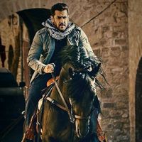 adnan85639