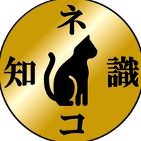 nekochishikiii