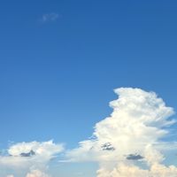 mainichitanosiku_ikiyooo