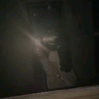 nisa_12345678968