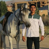ayham_lux