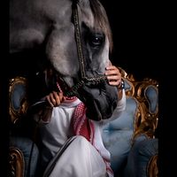 الصوت الأصلي