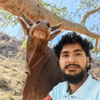 maheshbisht191