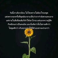เสียงต้นฉบับ - gu story 044🐋🪼🌻