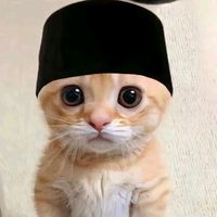 suara asli - yins