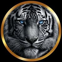 tiger_9985