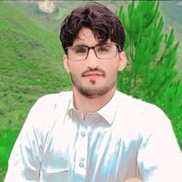 muhammadaleemgujjar