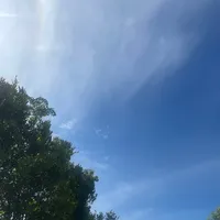 original sound - _snowtippedmountainess_5