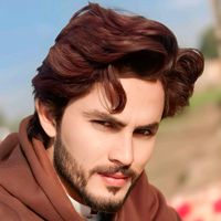 jutt98145319