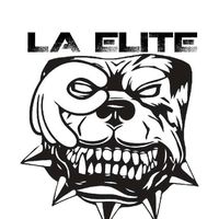 laeliteracing