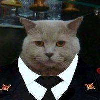 mnogomemx