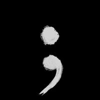 mr.semicolon1