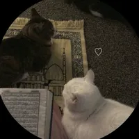 original sound - twinkleeywords