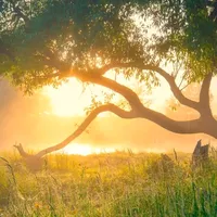 original sound - ihatetoloveu