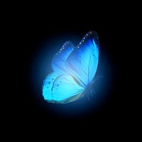 8bluedelrey_