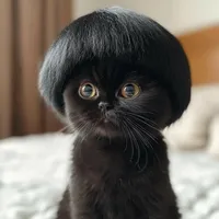 original sound - chabow2_2