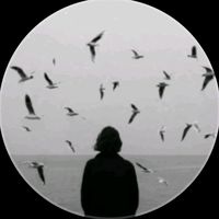abir_hasan_rifat_9245