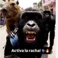 original sound - maximoalex64