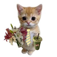 www.prxme.com