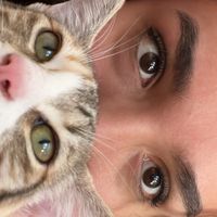 sofiaflorws