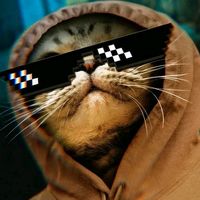 الصوت الأصلي