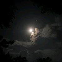 suara asli - 402ʃ lyrics 🥀