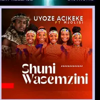 original sound - shuniwasemzini