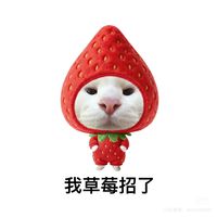 原聲 - 💦小困貓💗🧸