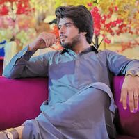 raeesinayatrind