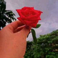 md.abdur.rahim.kh3