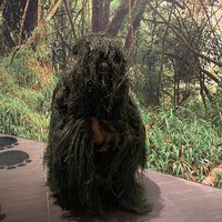 tdedaccount
