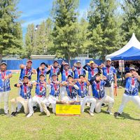 beejays_sofbolclub