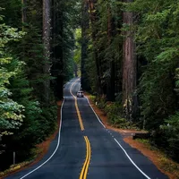 original sound - alfiegnzls7