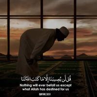 bilalzayde6
