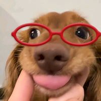 imchom__