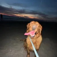 original sound - _valevaleeee