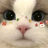 nhạc nền - nào hết flop đổi tên