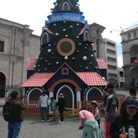 ciriloojedausca