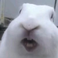 bepooo.0