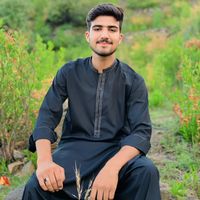 hamzakhan__896
