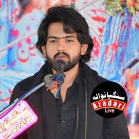 zakiralihussainsafder