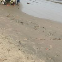 kemiblackvolly
