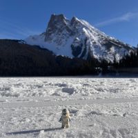 Use this sound if your zesty