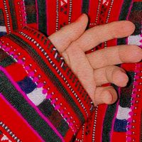 jhangir8084