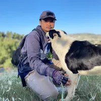 original sound - stories5604