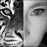 LisaLem8 Hollaback Girl by Gwen Stefani